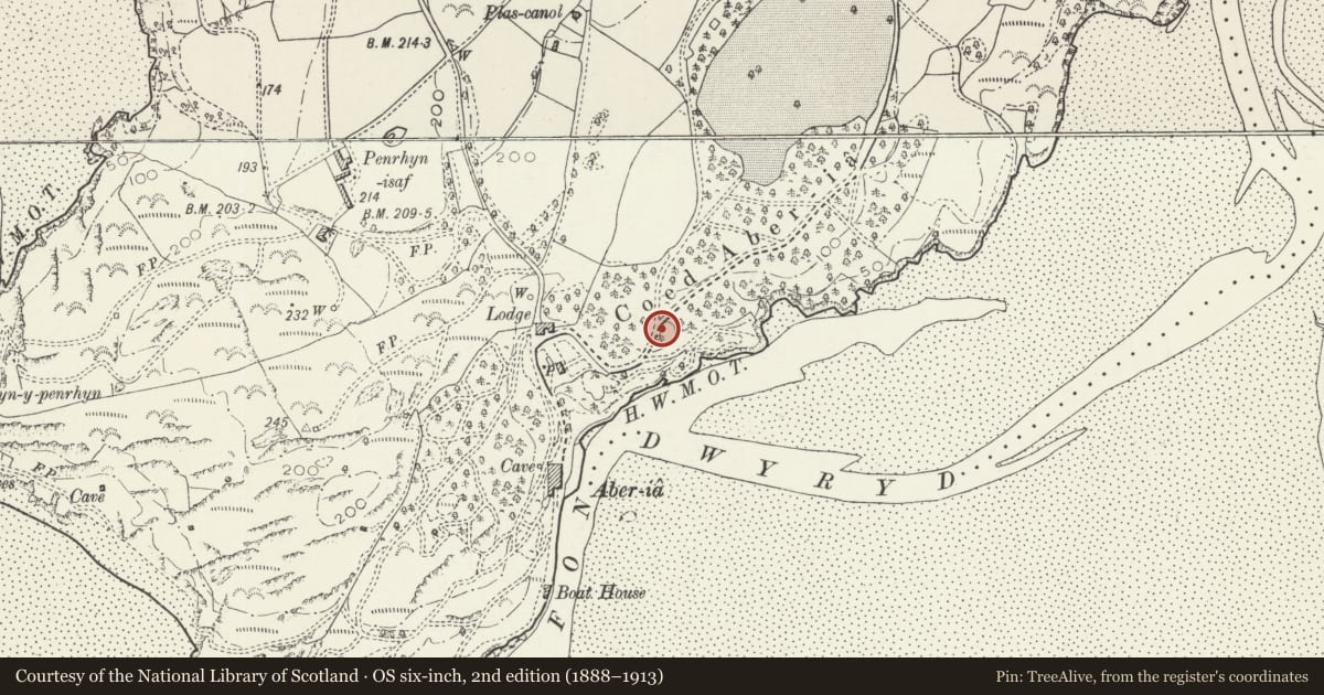 Ordnance Survey six-inch map, 2nd edition (1888–1913) covering the location of Forecourt Walls and Balustrading at Cliff House, Penrhyndeudraeth, Gwynedd, with a pin at the register's coordinates