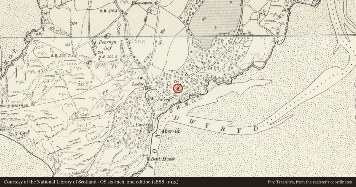 Ordnance Survey six-inch map, 2nd edition (1888–1913) covering the location of Statue of Huntsman, Penrhyndeudraeth, Gwynedd, with a pin at the register's coordinates