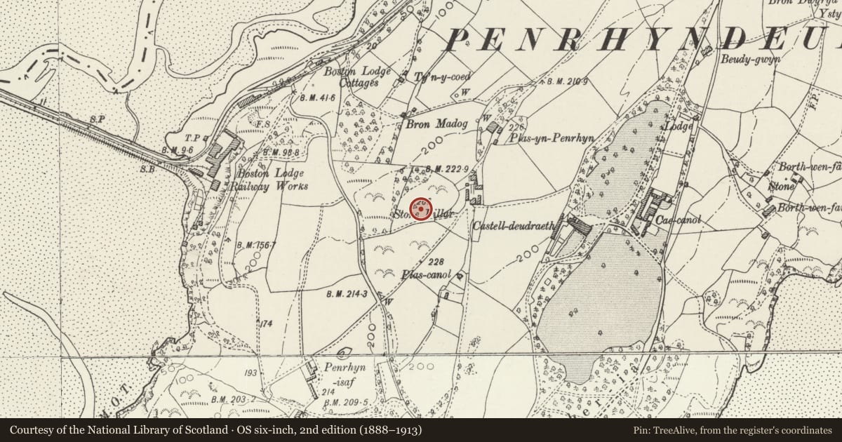 Ordnance Survey six-inch map, 2nd edition (1888–1913) covering the location of Stone needle 500m SW of Plas Penrhyn, Penrhyndeudraeth, Gwynedd, with a pin at the register's coordinates