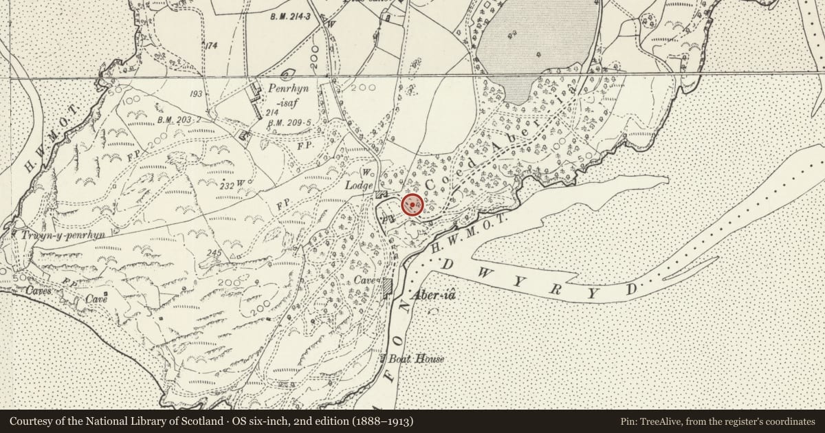 Ordnance Survey six-inch map, 2nd edition (1888–1913) covering the location of Columnar Monument Immediately S of Chantry, Penrhyndeudraeth, Gwynedd, with a pin at the register's coordinates
