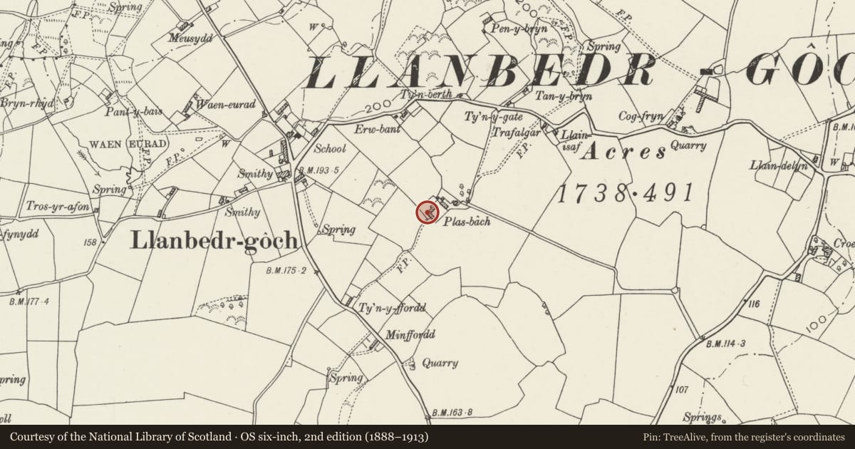 Ordnance Survey six-inch map, 2nd edition (1888–1913) covering the location of Agricultural range at Plas Bach, Llanfair-Mathafarn-Eithaf, Isle of Anglesey, with a pin at the register's coordinates