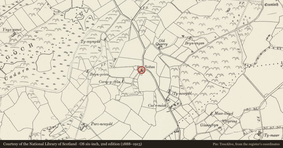 Ordnance Survey six-inch map, 2nd edition (1888–1913) covering the location of Bettws, Llanfair-Mathafarn-Eithaf, Isle of Anglesey, with a pin at the register's coordinates