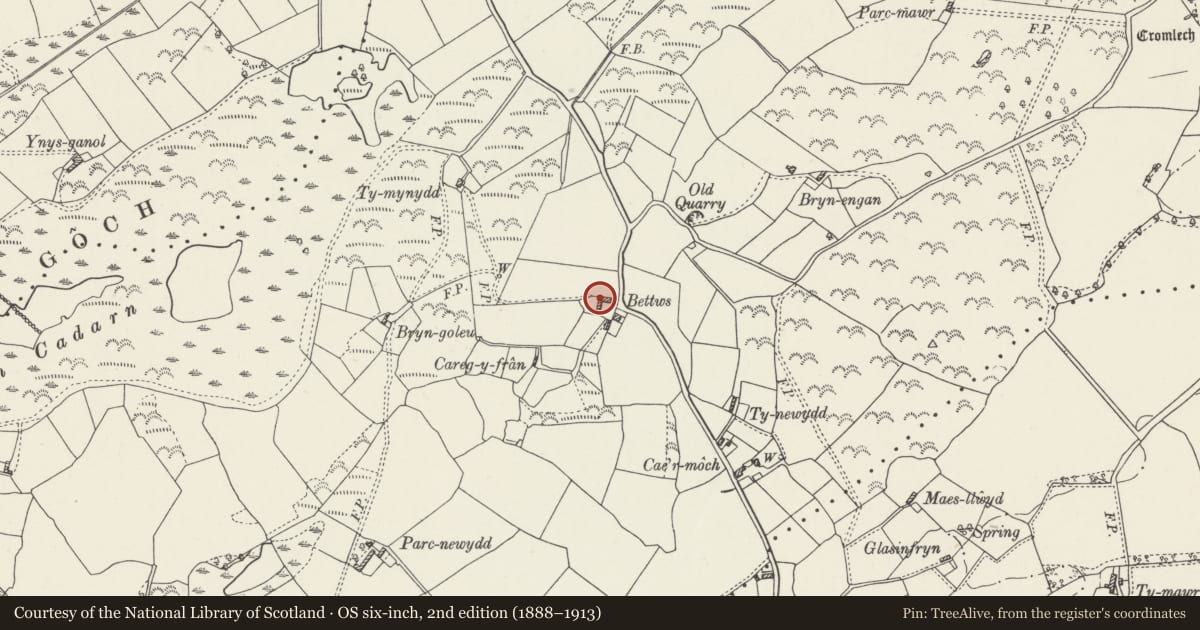 Ordnance Survey six-inch map, 2nd edition (1888–1913) covering the location of Agricultural range at Bettws, Llanfair-Mathafarn-Eithaf, Isle of Anglesey, with a pin at the register's coordinates