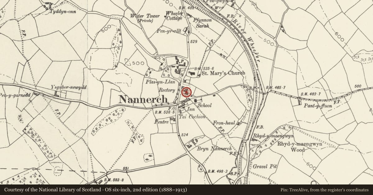 Ordnance Survey six-inch map, 2nd edition (1888–1913) covering the location of Tyn-Llan, Nannerch, Flintshire, with a pin at the register's coordinates