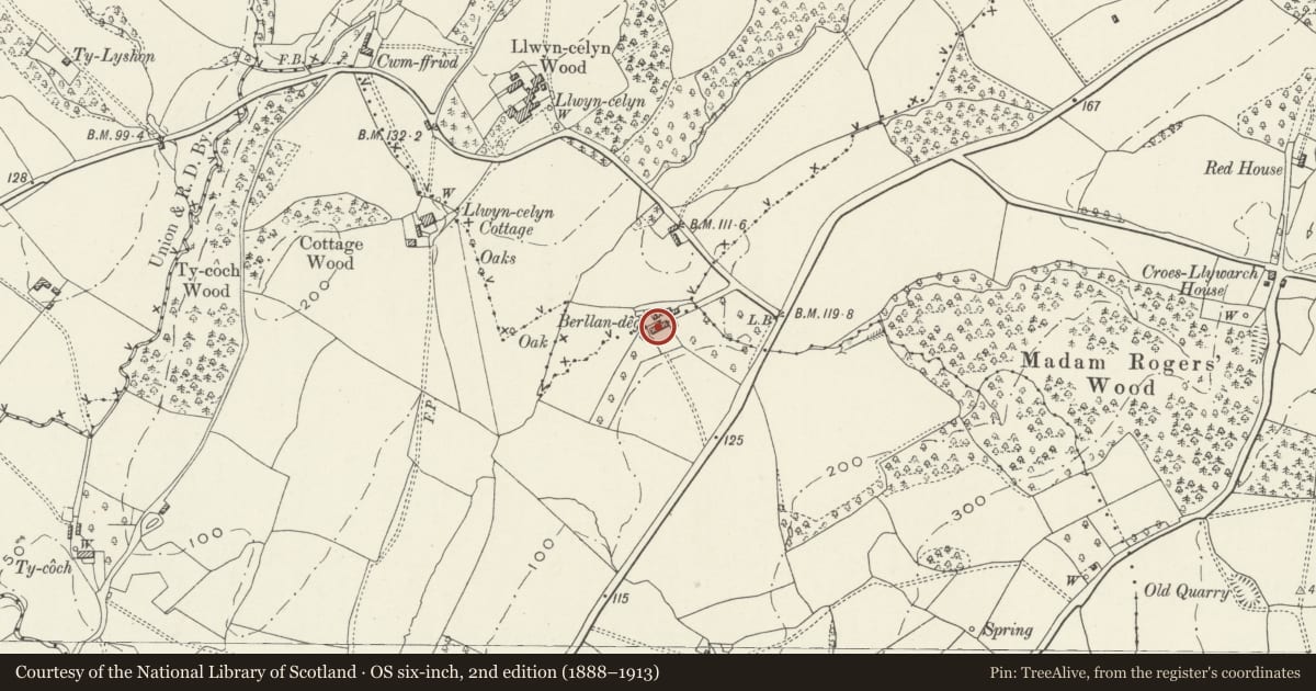 Ordnance Survey six-inch map, 2nd edition (1888–1913) covering the location of Berllan-deg, Llangybi, Monmouthshire, with a pin at the register's coordinates