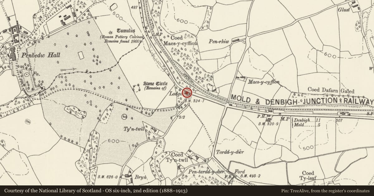 Ordnance Survey six-inch map, 2nd edition (1888–1913) covering the location of Mold Lodge, Nannerch, Flintshire, with a pin at the register's coordinates
