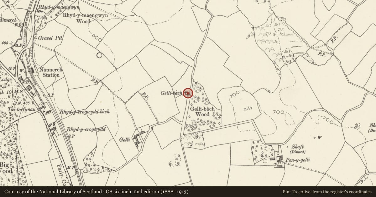 Ordnance Survey six-inch map, 2nd edition (1888–1913) covering the location of Gelli Bach, Nannerch, Flintshire, with a pin at the register's coordinates