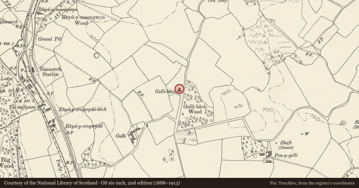 Ordnance Survey six-inch map, 2nd edition (1888–1913) covering the location of Cow house at Gelli Bach, Nannerch, Flintshire, with a pin at the register's coordinates