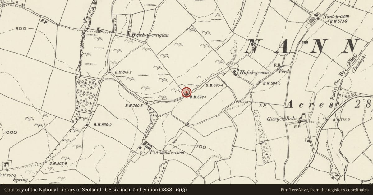 Ordnance Survey six-inch map, 2nd edition (1888–1913) covering the location of Tynewydd, Nannerch, Flintshire, with a pin at the register's coordinates