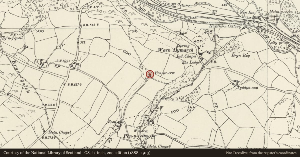 Ordnance Survey six-inch map, 2nd edition (1888–1913) covering the location of Pen-yr-erw, Nannerch, Flintshire, with a pin at the register's coordinates