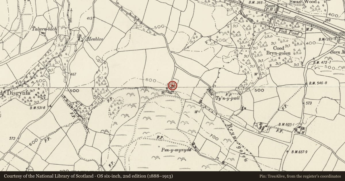 Ordnance Survey six-inch map, 2nd edition (1888–1913) covering the location of Plas Gwyn, Nannerch, Flintshire, with a pin at the register's coordinates