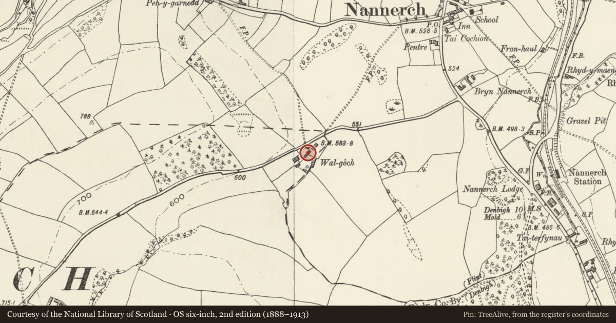 Ordnance Survey six-inch map, 2nd edition (1888–1913) covering the location of Cow House at Walgoch Farm, Nannerch, Flintshire, with a pin at the register's coordinates