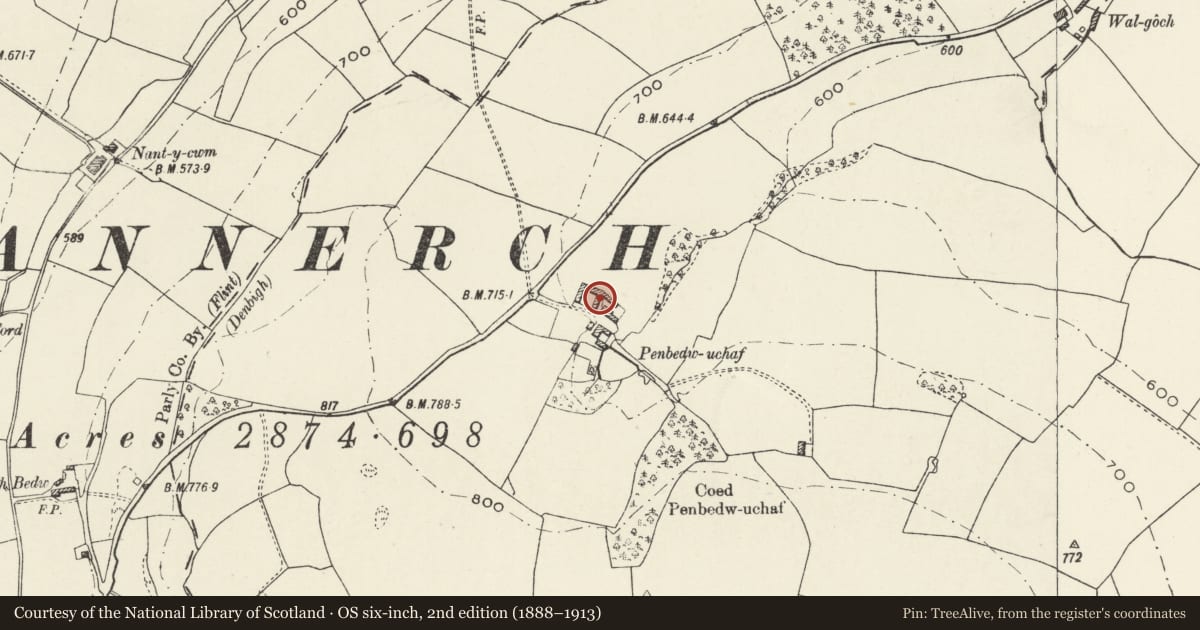 Ordnance Survey six-inch map, 2nd edition (1888–1913) covering the location of Barn with attached cow house at Penbedw Uchaf, Nannerch, Flintshire, with a pin at the register's coordinates