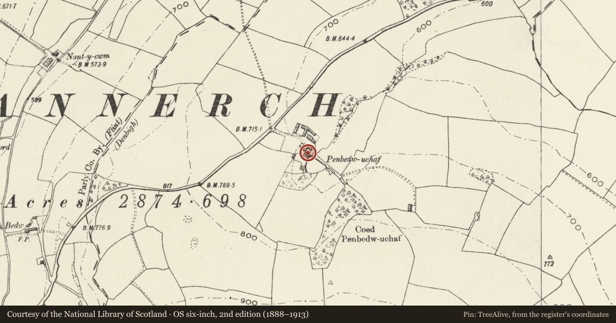 Ordnance Survey six-inch map, 2nd edition (1888–1913) covering the location of Former granary at Penbedw Uchaf, Nannerch, Flintshire, with a pin at the register's coordinates
