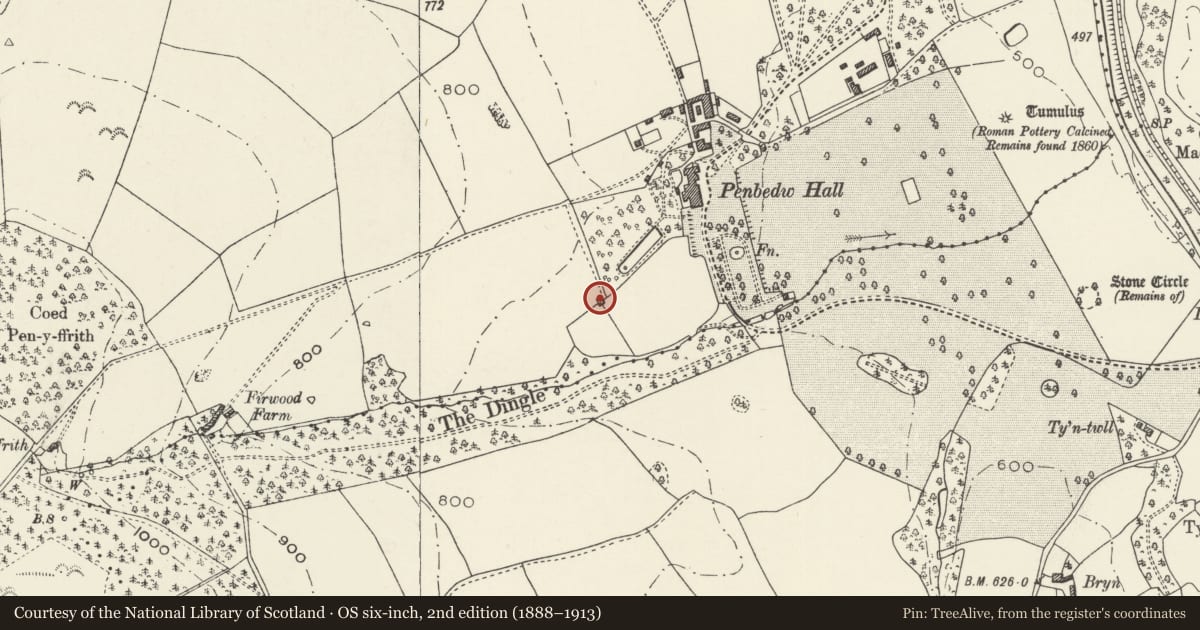 Ordnance Survey six-inch map, 2nd edition (1888–1913) covering the location of Stable in park at Penbedw, Nannerch, Flintshire, with a pin at the register's coordinates