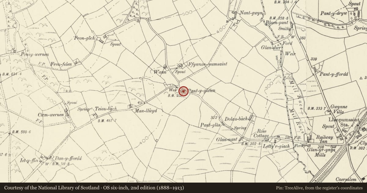 Ordnance Survey six-inch map, 2nd edition (1888–1913) covering the location of Y Bwthyn, Llanpumsaint, Carmarthenshire, with a pin at the register's coordinates