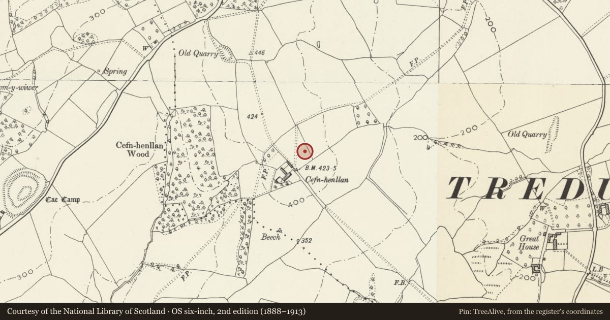 Ordnance Survey six-inch map, 2nd edition (1888–1913) covering the location of Dovecote to east of Cefn Henllan Farmhouse, Llangybi, Monmouthshire, with a pin at the register's coordinates