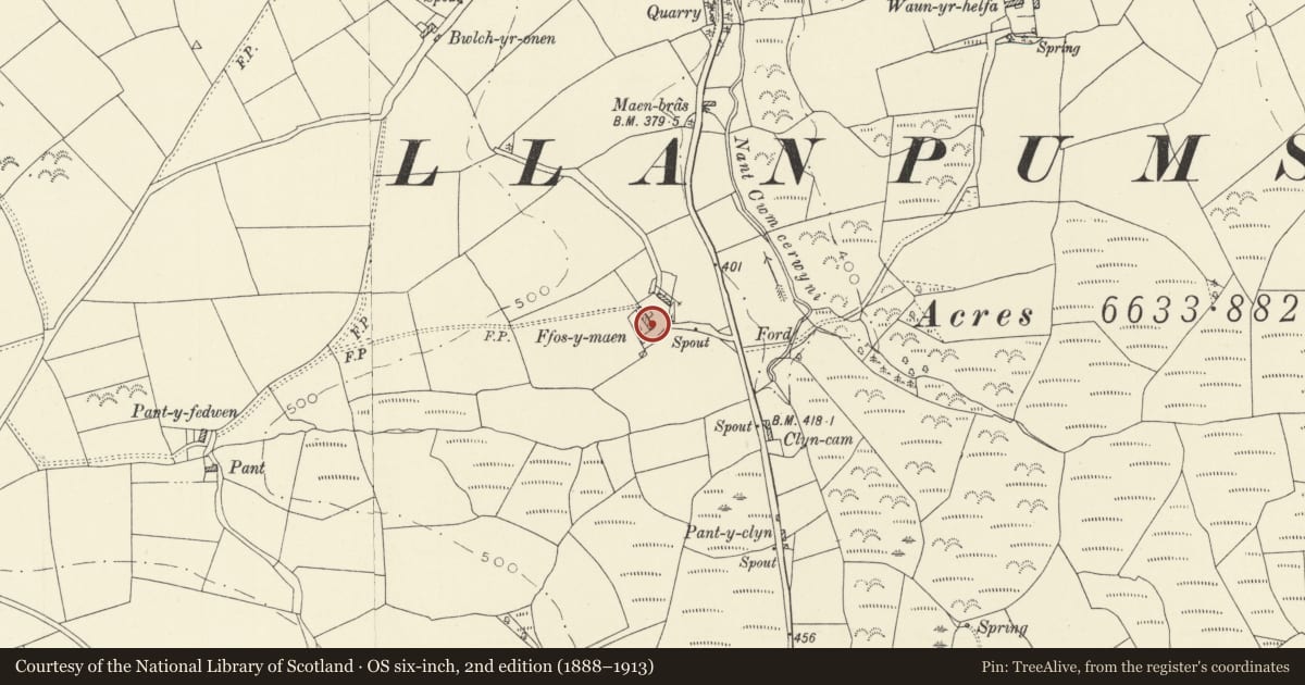 Ordnance Survey six-inch map, 2nd edition (1888–1913) covering the location of Ffos-y-maen, including attached former byre, Llanpumsaint, Carmarthenshire, with a pin at the register's coordinates