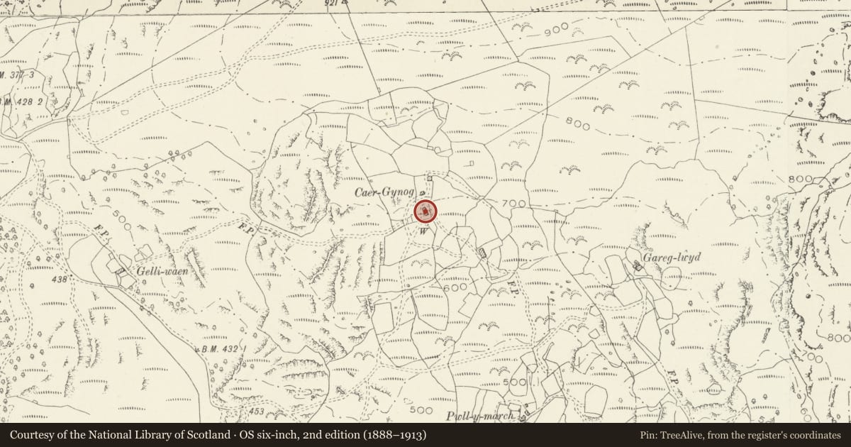 Ordnance Survey six-inch map, 2nd edition (1888–1913) covering the location of Caergynog, Llanbedr, Gwynedd, with a pin at the register's coordinates