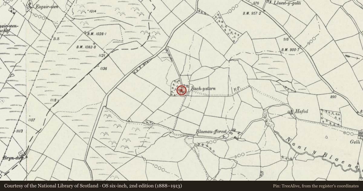 Ordnance Survey six-inch map, 2nd edition (1888–1913) covering the location of Blaenau-fforest, Llanycrwys, Carmarthenshire, with a pin at the register's coordinates