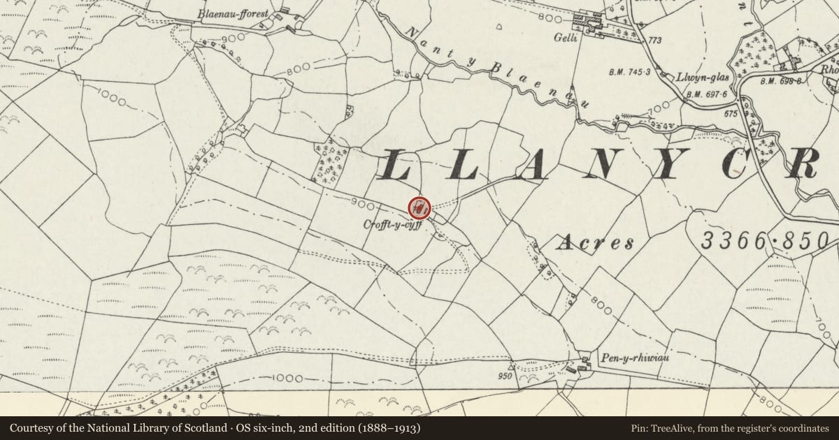 Ordnance Survey six-inch map, 2nd edition (1888–1913) covering the location of Croff-y-Cyff including attached stable and cart shed, Llanycrwys, Carmarthenshire, with a pin at the register's coordinates