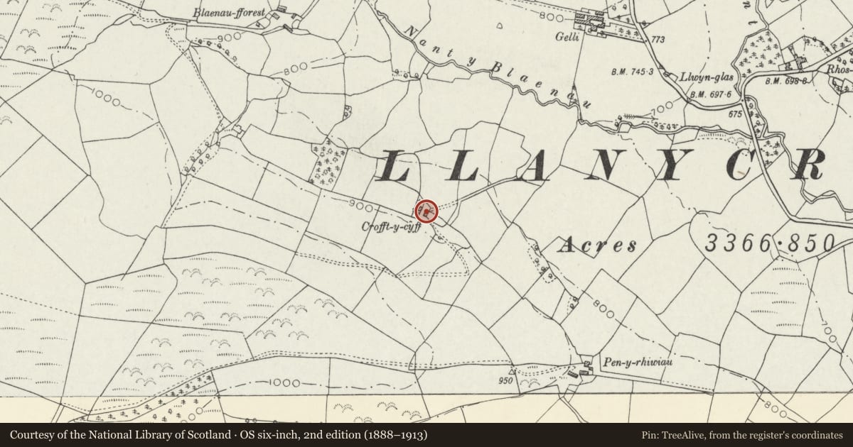 Ordnance Survey six-inch map, 2nd edition (1888–1913) covering the location of Cow house at Croff-y-Cyff, Llanycrwys, Carmarthenshire, with a pin at the register's coordinates