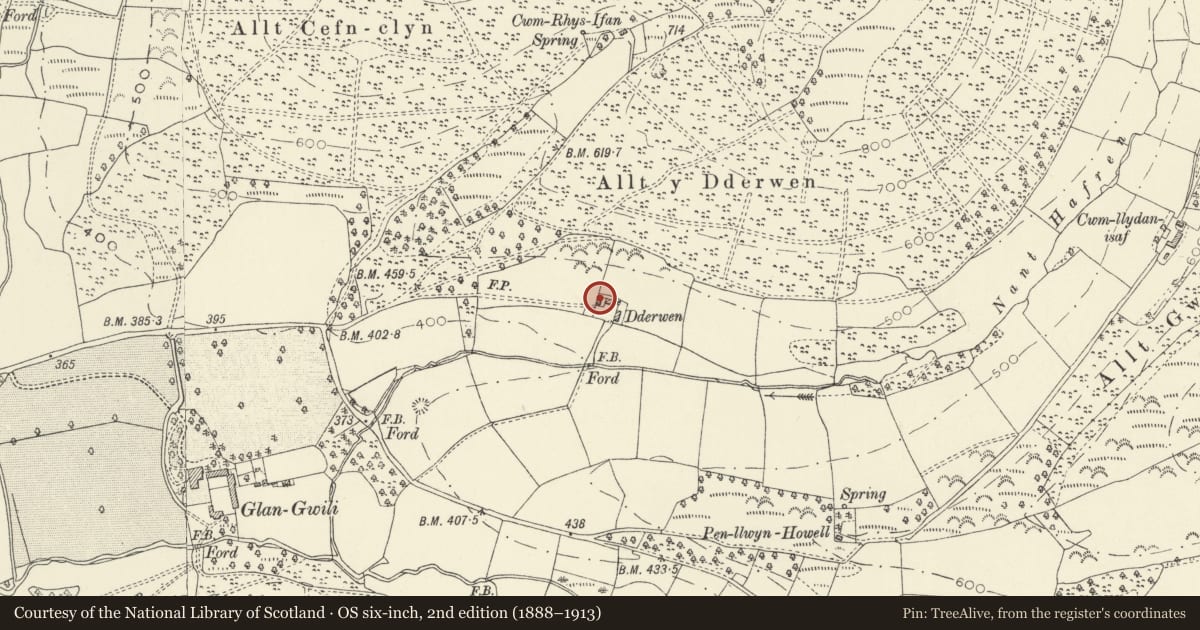 Ordnance Survey six-inch map, 2nd edition (1888–1913) covering the location of Y Dderwyn, Llanllawddog, Carmarthenshire, with a pin at the register's coordinates