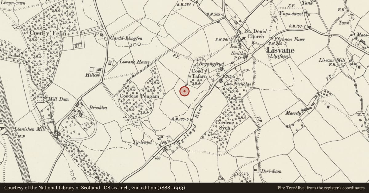 Ordnance Survey six-inch map, 2nd edition (1888–1913) covering the location of Ty Gwyn, Lisvane, Cardiff, with a pin at the register's coordinates