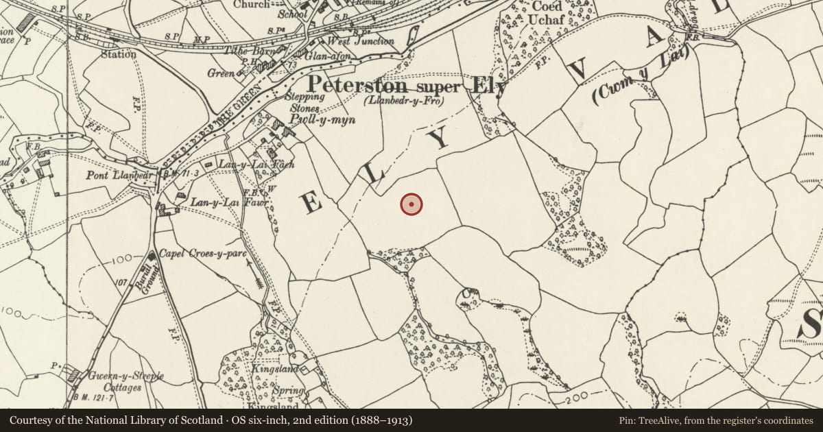 Ordnance Survey six-inch map, 2nd edition (1888–1913) covering the location of Nos 4 and 6 Cory Crescent, Peterston-super-Ely, Vale of Glamorgan, with a pin at the register's coordinates