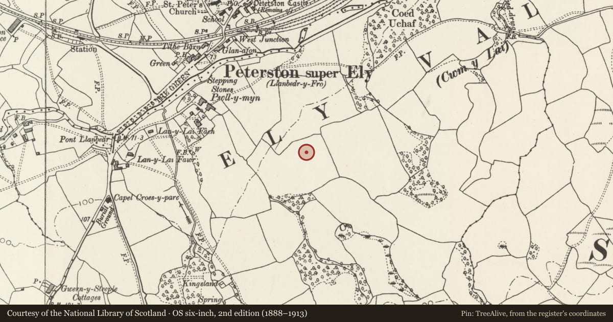 Ordnance Survey six-inch map, 2nd edition (1888–1913) covering the location of Nos 8 and 10 Cory Crescent, Peterston-super-Ely, Vale of Glamorgan, with a pin at the register's coordinates