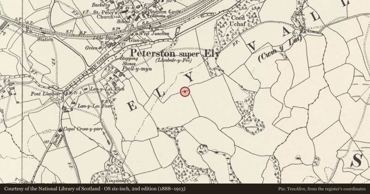 Ordnance Survey six-inch map, 2nd edition (1888–1913) covering the location of Nos 16 and 18 Cory Crescent, Peterston-super-Ely, Vale of Glamorgan, with a pin at the register's coordinates