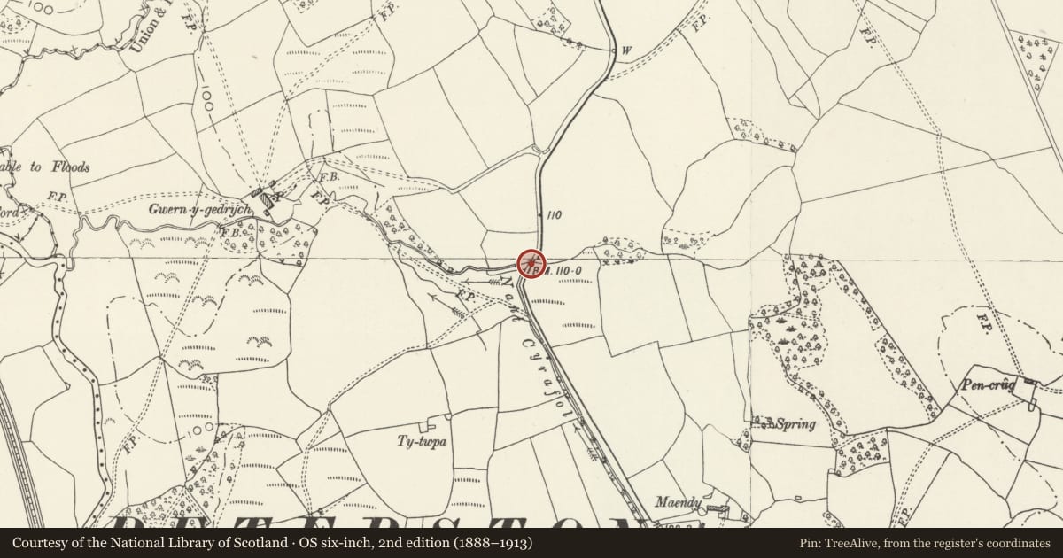 Ordnance Survey six-inch map, 2nd edition (1888–1913) covering the location of Road Bridge over Nant Criafol, Peterston-super-Ely, Vale of Glamorgan, with a pin at the register's coordinates