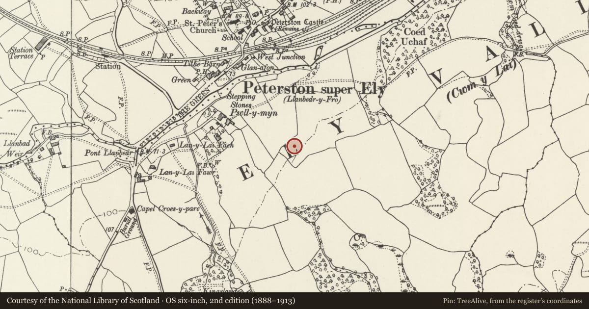 Ordnance Survey six-inch map, 2nd edition (1888–1913) covering the location of 2 Pwll-y-Min Crescent, Peterston-super-Ely, Vale of Glamorgan, with a pin at the register's coordinates