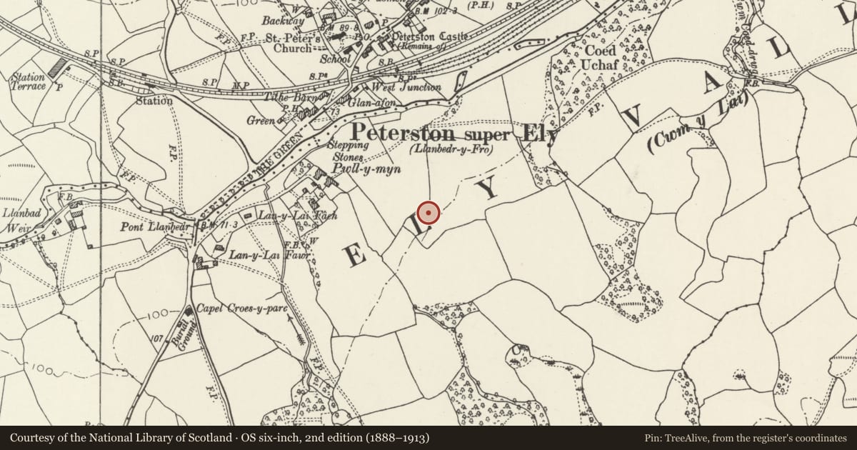 Ordnance Survey six-inch map, 2nd edition (1888–1913) covering the location of 3 Pwll-y-Min Crescent, Peterston-super-Ely, Vale of Glamorgan, with a pin at the register's coordinates