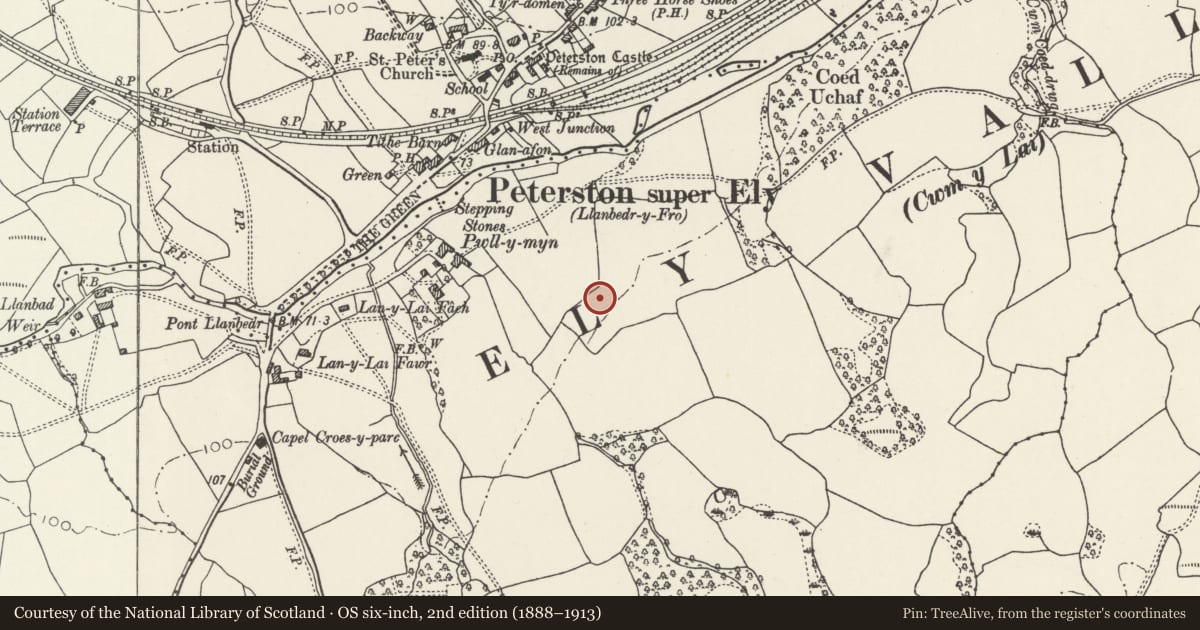 Ordnance Survey six-inch map, 2nd edition (1888–1913) covering the location of 4 Pwll-y-Min Crescent, Peterston-super-Ely, Vale of Glamorgan, with a pin at the register's coordinates