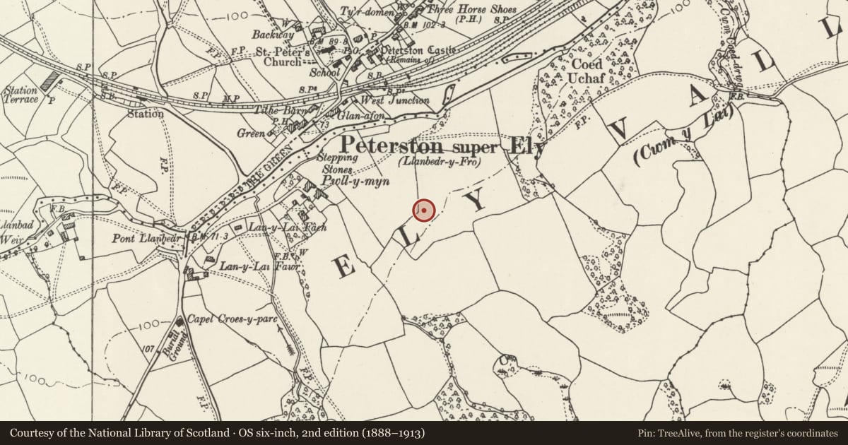 Ordnance Survey six-inch map, 2nd edition (1888–1913) covering the location of 6 Pwll-y-Min Crescent, Peterston-super-Ely, Vale of Glamorgan, with a pin at the register's coordinates