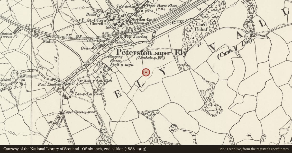 Ordnance Survey six-inch map, 2nd edition (1888–1913) covering the location of 7 Pwll-y-Min Crescent, Peterston-super-Ely, Vale of Glamorgan, with a pin at the register's coordinates