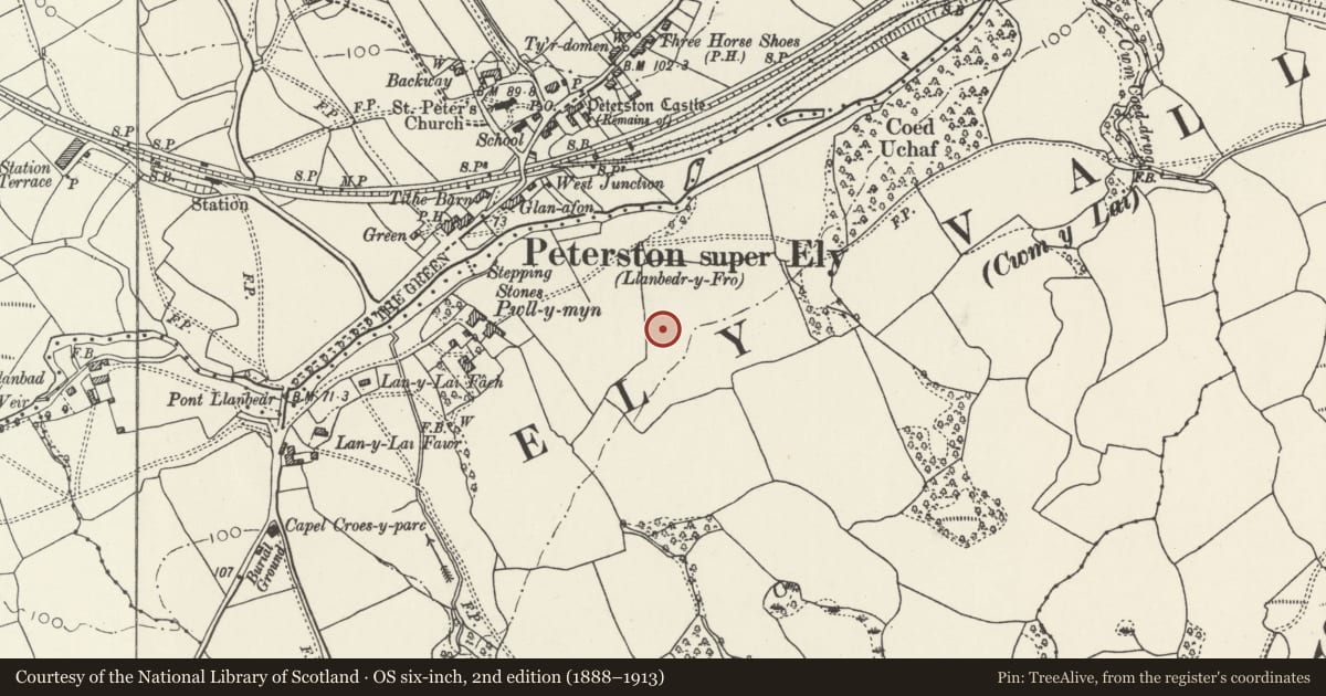 Ordnance Survey six-inch map, 2nd edition (1888–1913) covering the location of 9 Pwll-y-Min Crescent, Peterston-super-Ely, Vale of Glamorgan, with a pin at the register's coordinates