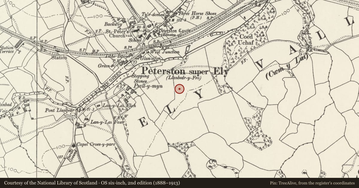 Ordnance Survey six-inch map, 2nd edition (1888–1913) covering the location of 10 Pwll-y-Min Crescent, Peterston-super-Ely, Vale of Glamorgan, with a pin at the register's coordinates