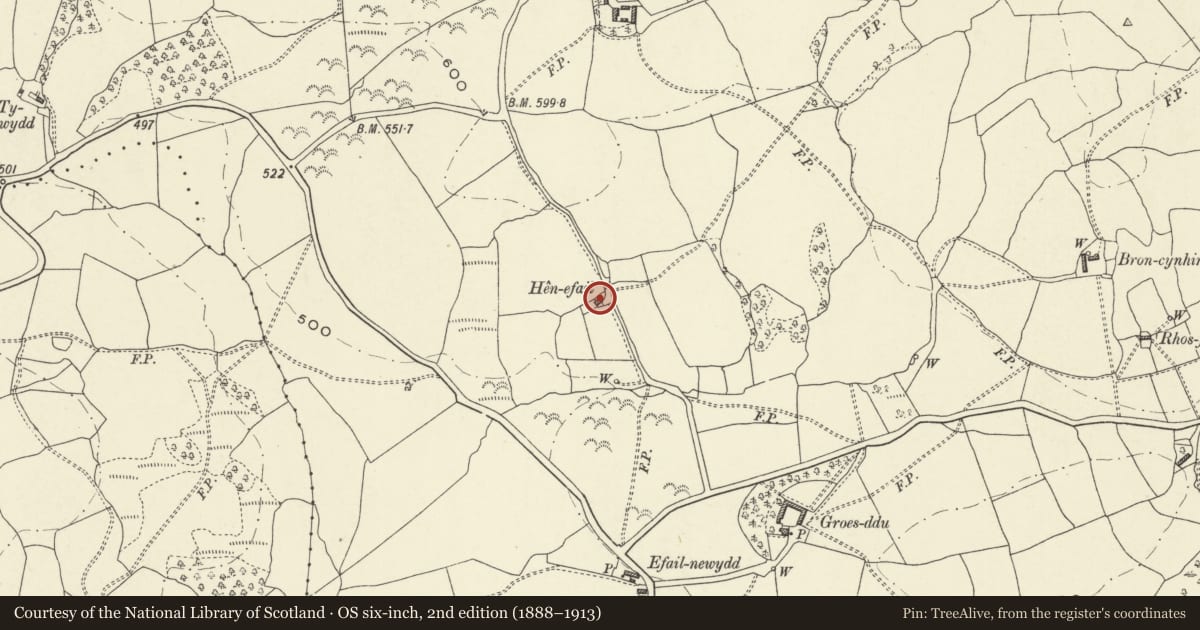 Ordnance Survey six-inch map, 2nd edition (1888–1913) covering the location of Hen-efail, Llangyniew, Powys, with a pin at the register's coordinates