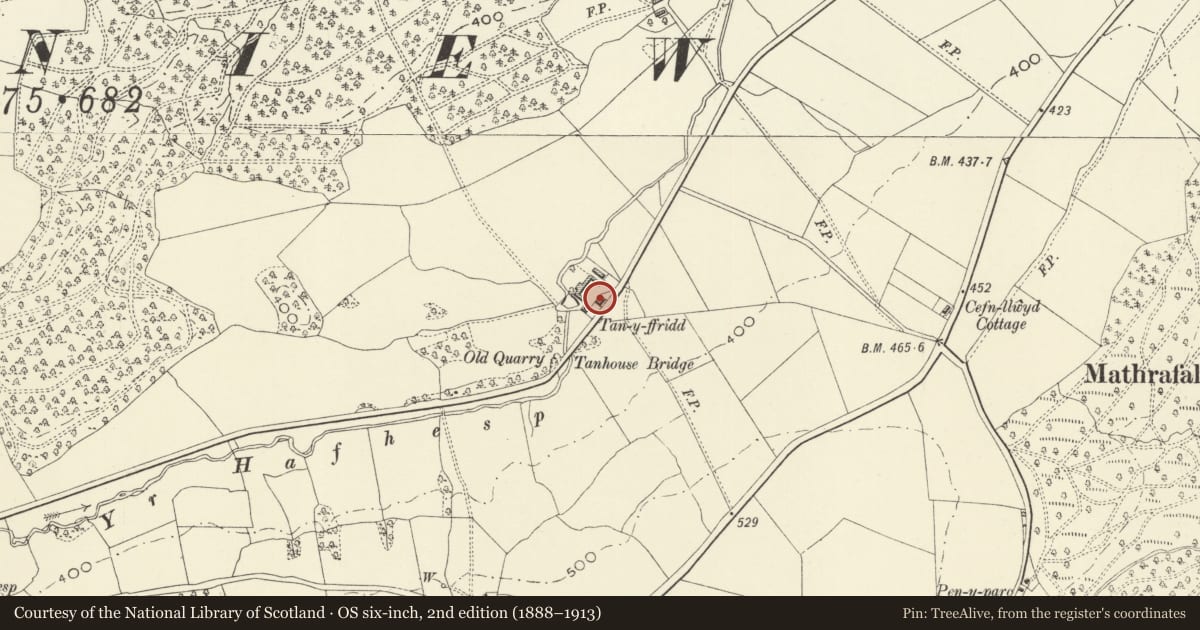 Ordnance Survey six-inch map, 2nd edition (1888–1913) covering the location of Tan-y-ffridd, Llangyniew, Powys, with a pin at the register's coordinates