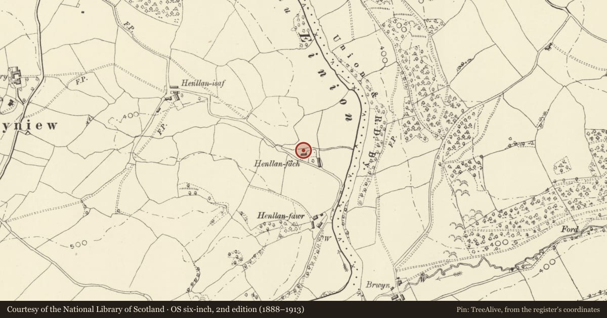 Ordnance Survey six-inch map, 2nd edition (1888–1913) covering the location of Henllan-fach, Llangyniew, Powys, with a pin at the register's coordinates