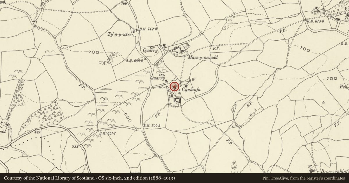 Ordnance Survey six-inch map, 2nd edition (1888–1913) covering the location of Cynhinfa, Llangyniew, Powys, with a pin at the register's coordinates