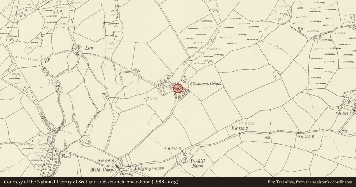 Ordnance Survey six-inch map, 2nd edition (1888–1913) covering the location of Cilmaenllwyd, Dyffryn Cennen, Carmarthenshire, with a pin at the register's coordinates