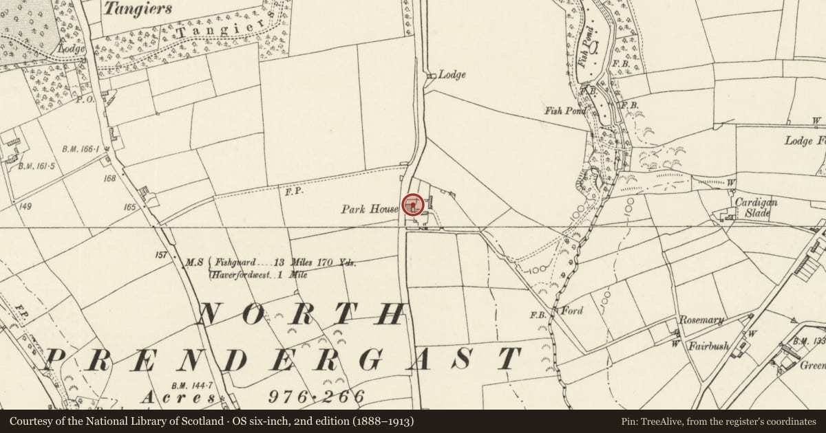 Ordnance Survey six-inch map, 2nd edition (1888–1913) covering the location of Plas Gwyn, Rudbaxton, Pembrokeshire, with a pin at the register's coordinates