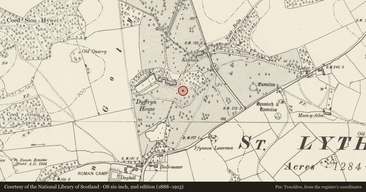 Ordnance Survey six-inch map, 2nd edition (1888–1913) covering the location of Lion steps, St. Nicholas and Bonvilston, Vale of Glamorgan, with a pin at the register's coordinates