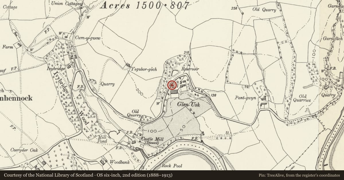 Ordnance Survey six-inch map, 2nd edition (1888–1913) covering the location of Gate piers to road, NE of Glen Usk, Llangybi, Monmouthshire, with a pin at the register's coordinates