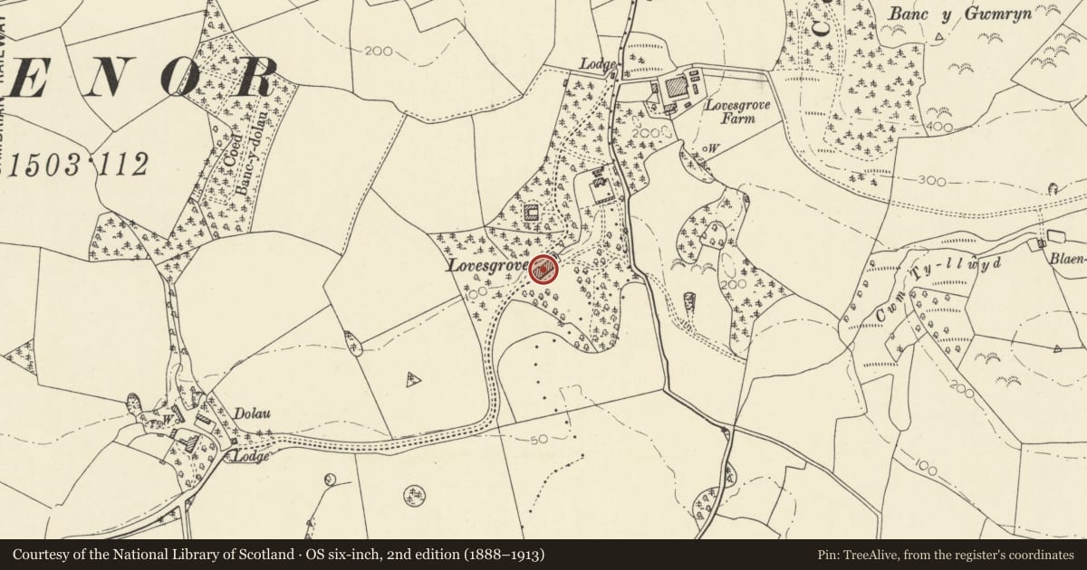 Ordnance Survey six-inch map, 2nd edition (1888–1913) covering the location of Lovesgrove, Faenor, Ceredigion, with a pin at the register's coordinates