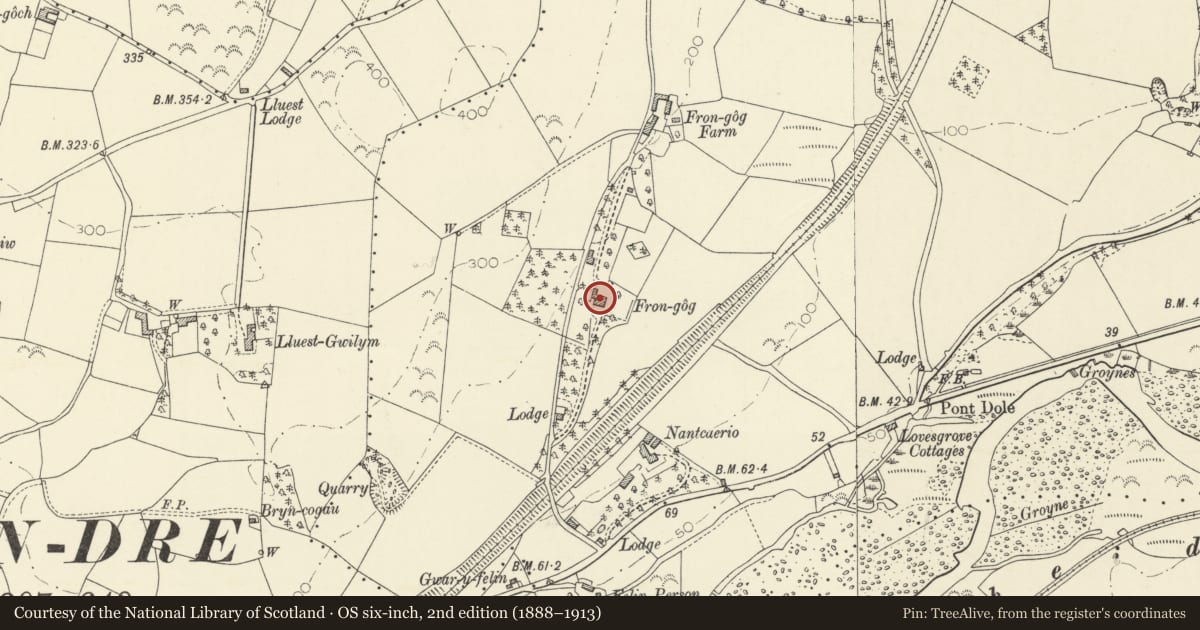 Ordnance Survey six-inch map, 2nd edition (1888–1913) covering the location of Plas Frongog, Faenor, Ceredigion, with a pin at the register's coordinates