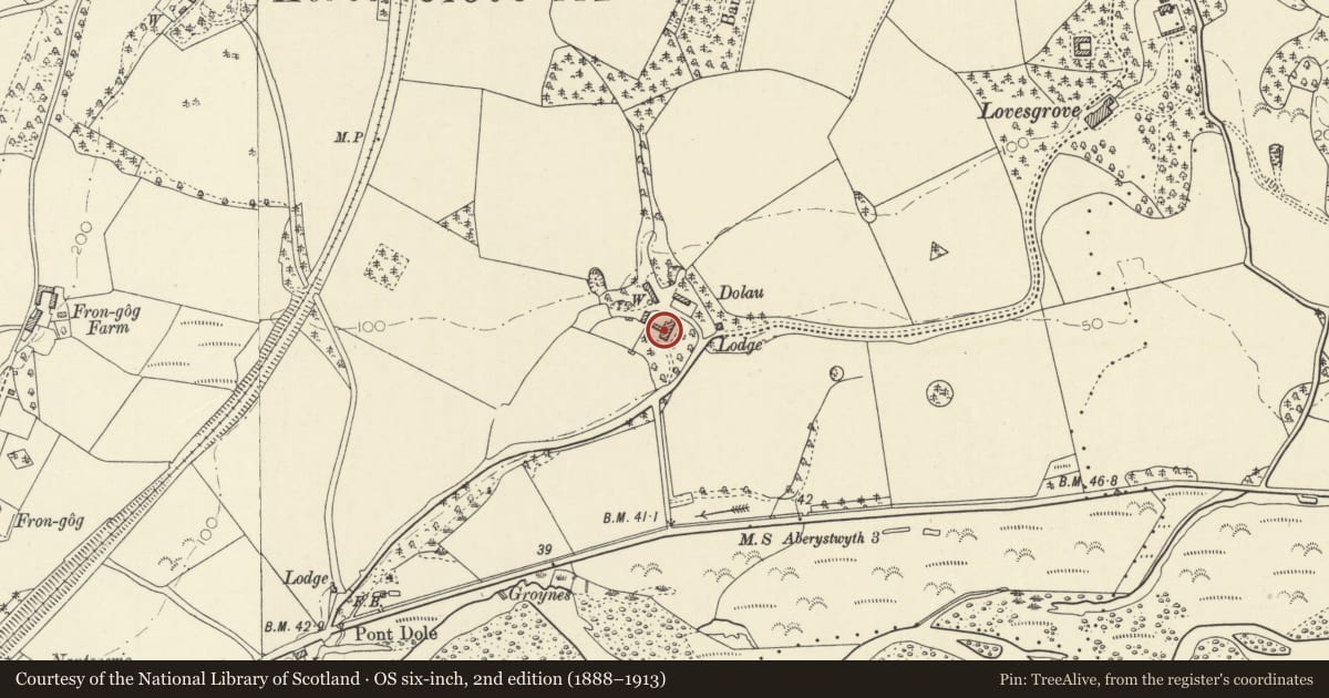 Ordnance Survey six-inch map, 2nd edition (1888–1913) covering the location of Plas Dolau, Faenor, Ceredigion, with a pin at the register's coordinates